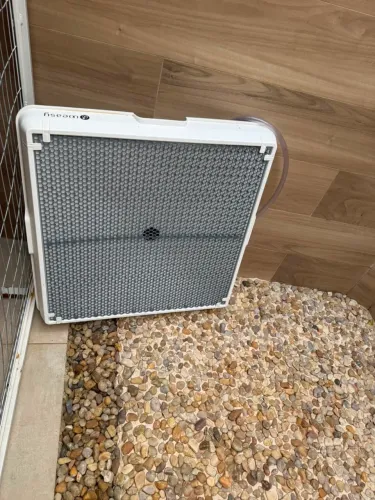 Weasy - banheiro para cachorro