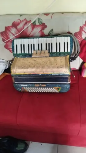 Acordeon universal 80 baixos afinada e eletrificado 