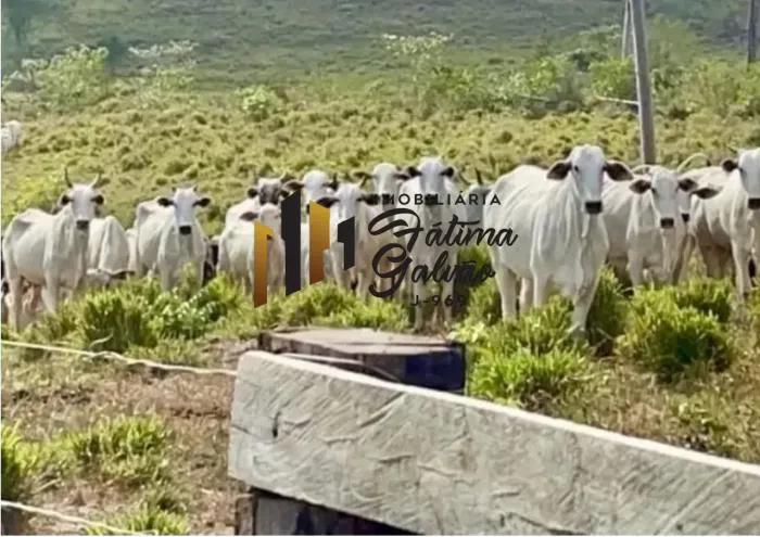 FAZENDA À VENDA NA PA-140 - BUJARU/PA
