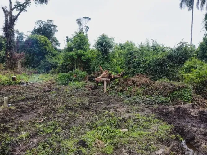 Terreno na praia