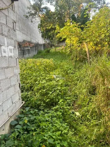 Terreno, 100 m² - venda por R$ 150.000 ou aluguel por R$ 2.800/mês - Jardim Noronha - São