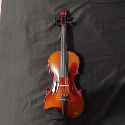 Violino Michael VNM47 4/4 (Série Ébano) + Case e 2 arcos