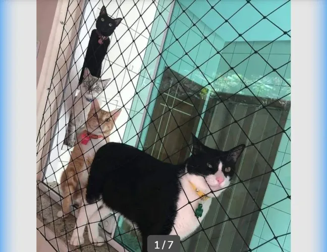 Telas de Proteção
