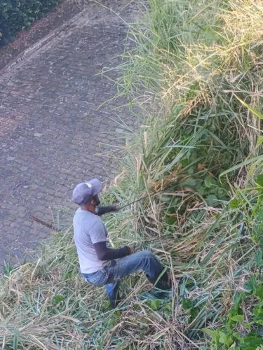 Capinamos seu terreno pelo menor preço