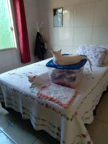 Casa à venda em Tapera da Base, Florianópolis | 2 dorms