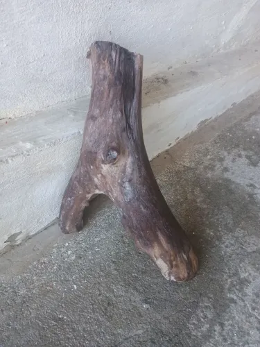 Tronco para aquário 