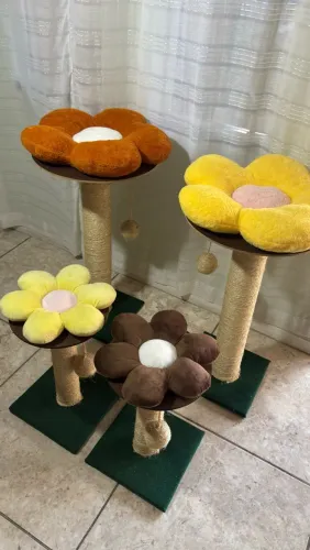 Arranhadores para gatos