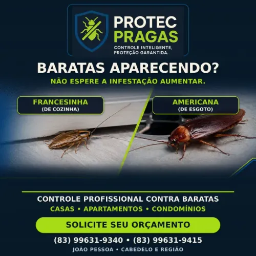 Dedetização Eficiente