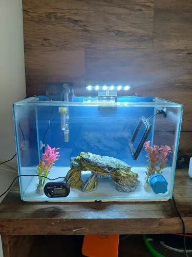 Aquario 14 litros completo