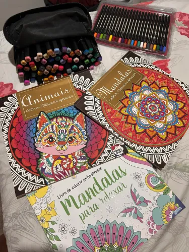 Kit pintura (canetinhas, lápis de cor e livros de colorir)