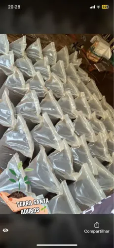 Terra Preta promoção 9$