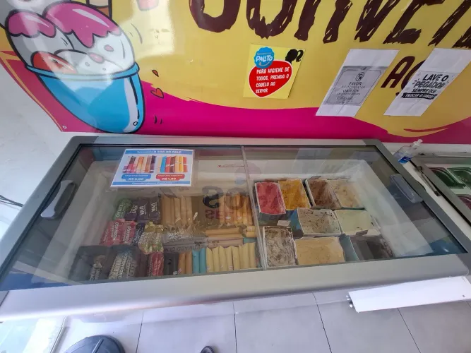 Freezer horizontal