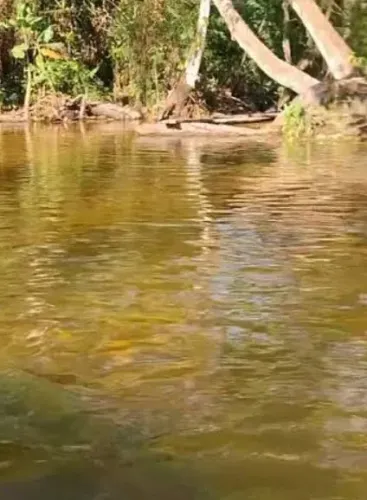 Terreno com com ária verde e rio