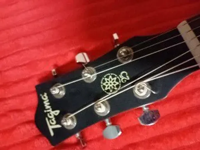 Violão Folk Tagima Tw25