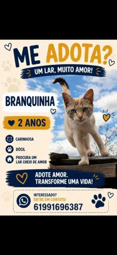 Doa-se gata