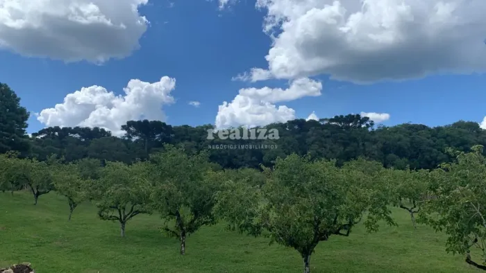 TERRENO EM GRAMADO