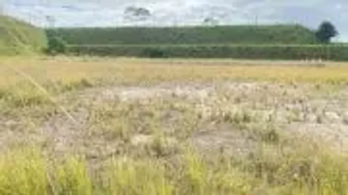 Area em Cabiunas com 5 mil m2