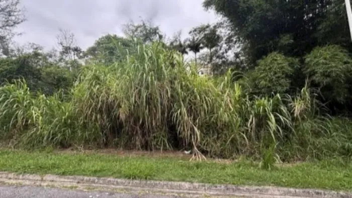 Terreno em "Santa Paula Royal Tênis" - Roçado - São José/SC