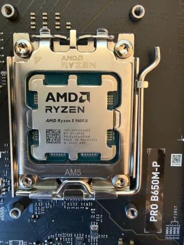Am5 Ryzen 5 9600X mt novo com nf sem caixa