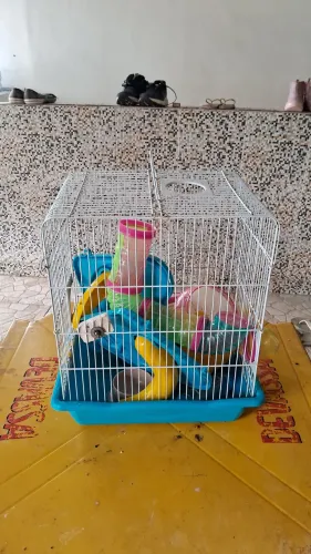 Gaiola com todos acessórios