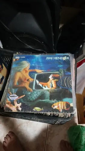 Disco de Vinil 