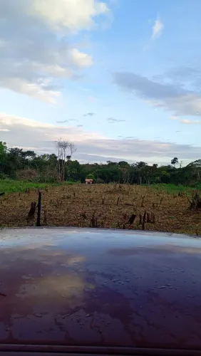 Vendo terreno com igarapé em jambu Açu 