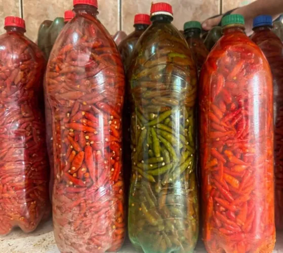 Pimenta malagueta em conserva de Salmoura.