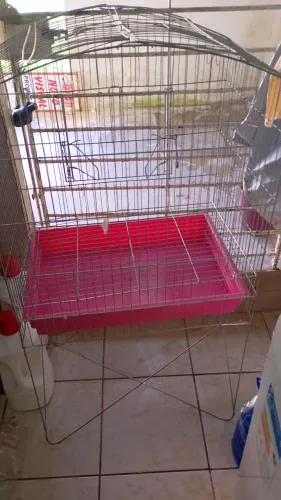 Gaiola para calopsitas pássaros