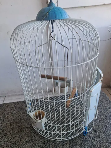 Gaiola em perfeito estado