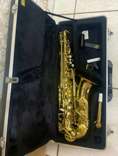 Sax alto vogga seminovo