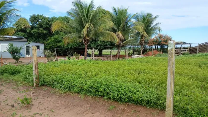 sitio de 14 hectares todo formado na região da cidade de Campo Verde no Mato Gro