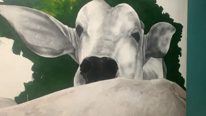 Lindo quadro pra pecuarista