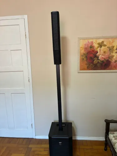 CAIXA ELECTROVOICE EVOLVE 30M