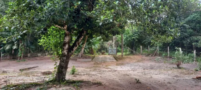 Sitio em castanhal 