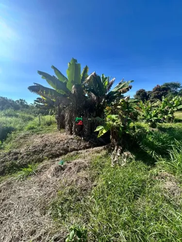 Terreno à venda, 2500 m² por R$ 180.000,00 - Cachoeira Grande - Lagoinha/SP REF: TE0034