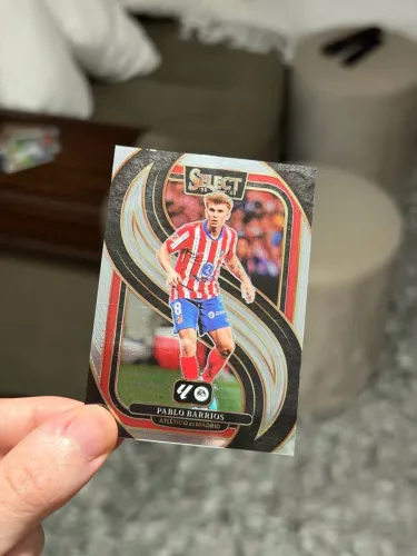 Card panini select