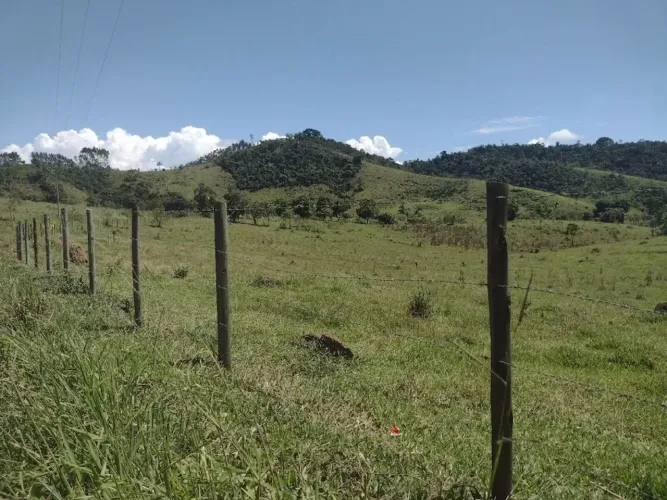 Fazenda com 210 hectares e excelente topografia em Canas, SP.