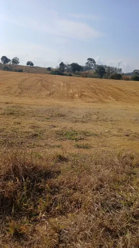 Area top .