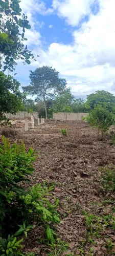 Sítio , com área de 1 tarefa , lugar maravilhoso ! Zona rural de Alagoinhas