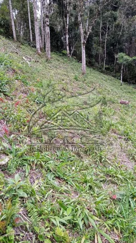 Lote em Condomínio Fechado para Venda em Rancho Queimado, SANTA IZABEL