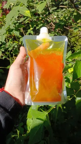 Shampoo com óleos essenciais orgânico focado em purificar, hidratar e revitalizar os fios.