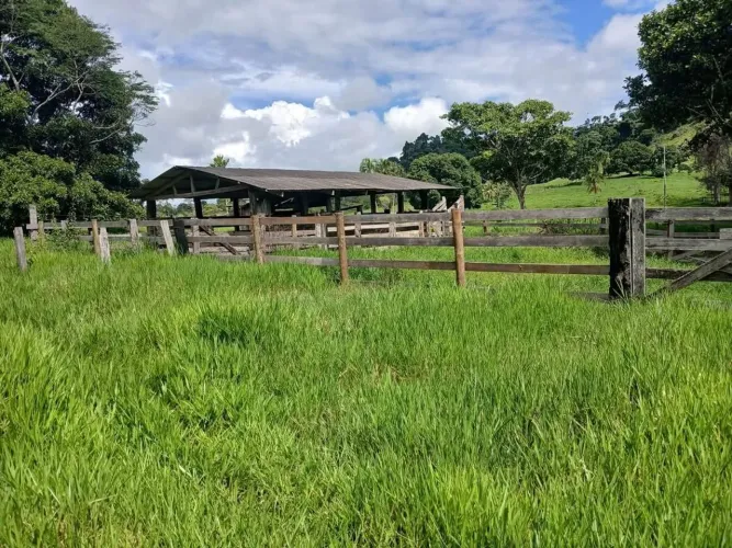 Oportunidade - chácara a venda 