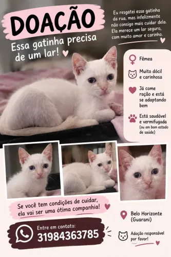 Adoção responsável 