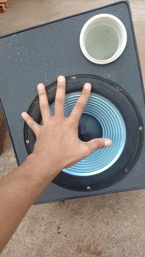 Alto falante de 10 polegadas 