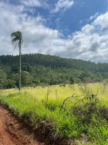 He Lotes lindos com preços acessíveis!