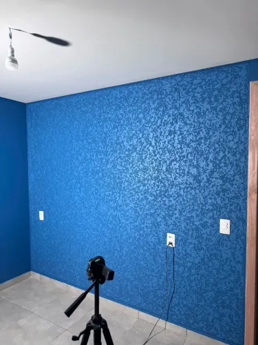 PINTOR PROFISSIONAL