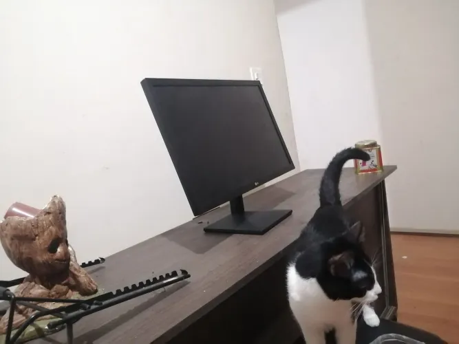 Monitor LG 75Hz