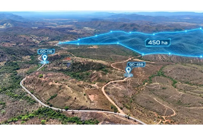 Fazenda de 450ha ao lado de Formosa - GO