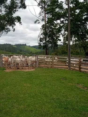 Fazenda na Pecuaria 215 alqueiro Reserva-Pr