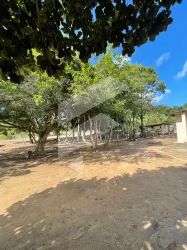 Sítio para Empreendedores- Oportunidade